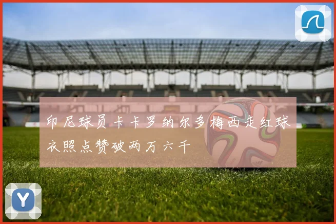 印尼球员卡卡罗纳尔多梅西走红球衣照点赞破两万六千